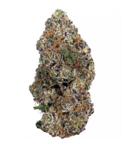 Goudaberry – AAAA+