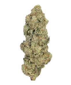 Pink Gas – AAA+
