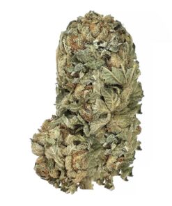 Rockstar – AA+ – $85/Oz