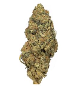 Recon – AA+ – $65/Oz