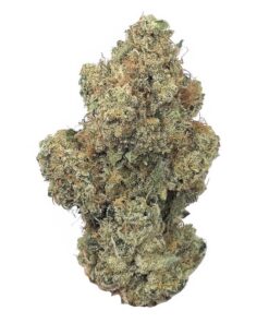 Scotties Cookies – AAAA+