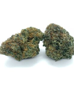 Sundae Driver – AAA+