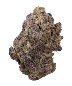 Triceratops – AAAA