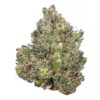 Frosty Cherry Cookies – AAAA – $190/Oz Frosty Cherry Cookies – AAAA – $190/Oz