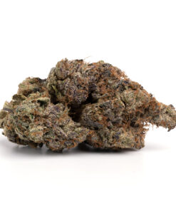 Lemon Cherry Popper – Sativa Lemon Cherry Popper – Sativa