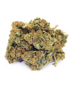 Lemon Diesel – Sativa