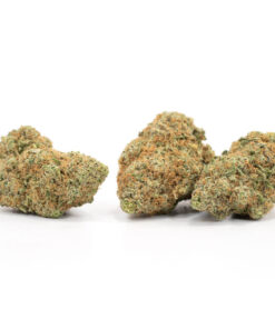 Mango Sapphire – Sativa