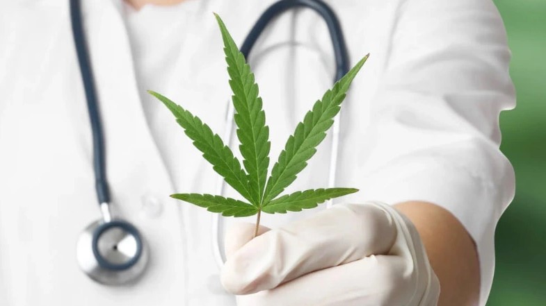 Medical Marijuana and Liver Disease: The Complete Guide Medical Marijuana 2 - Medical Marijuana and Liver Disease: The Complete Guide