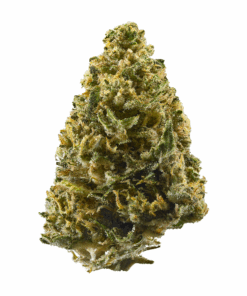 Northern Lights – Indica