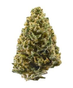 Northern Lights – Indica BULK Northern Lights – Indica BULK
