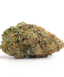 OG Kush – Indica
