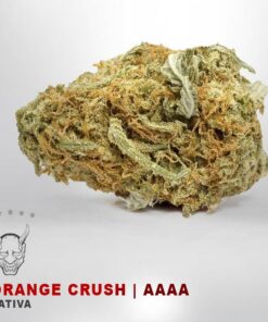 Orange Crush – AAAA