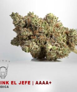 Pink El Jefe – AAAA+