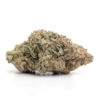 Juicy By Willo THC Disposable Vapes Juicy By Willo THC Disposable Vapes
