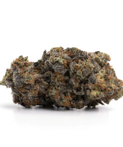 Pink AMG – Indica