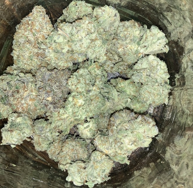 Pink Kush Marijuana Strain Review Pink Panties 03 - Pink Kush Marijuana Strain Review