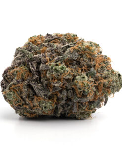 Pink Panties – Indica