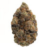Garlic Bubba – Hybrid