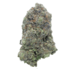 Astro Pink – Indica BULK Astro Pink – Indica BULK