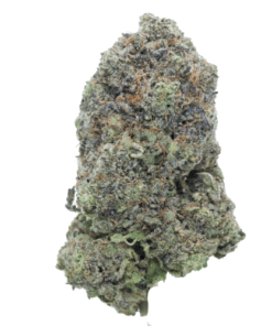 Pink Zushi – Indica