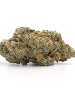Pink Gas – Indica