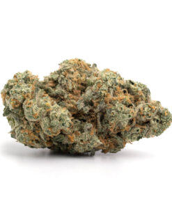Platinum Pink – Indica