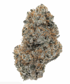 Platinum RS – Indica