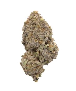 Purple Space Cookie-Hybrid Purple Space Cookie-Hybrid