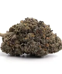Purple Berry Skunk