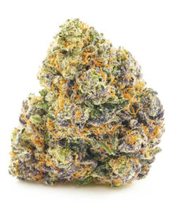 Funky Monkey – Hybrid