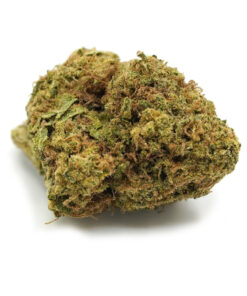 Khalifa Sherb – Sativa