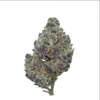 Amnesia Haze – Sativa