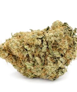 Sunset Skunk AA – Indica