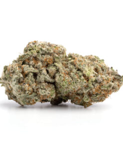 Strawberry Cough – Sativa Strawberry Cough – Sativa
