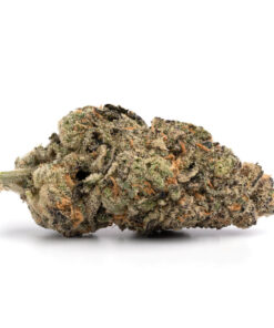 Sunset Pink – Indica