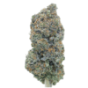 Blue Candy – Hybrid Blue Candy – Hybrid