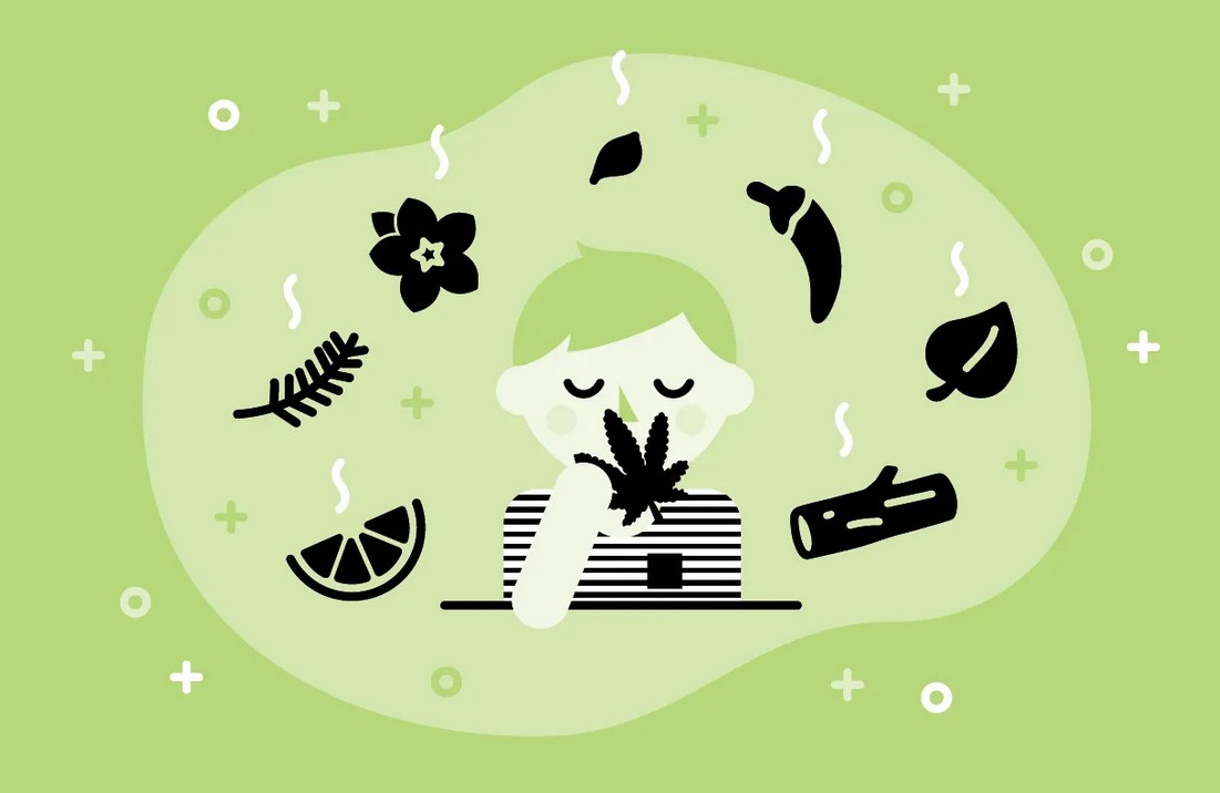 Terpenes for Anxiety: What You Need to Know Terpenes for Anxiety 02 - Terpenes for Anxiety: What You Need to Know