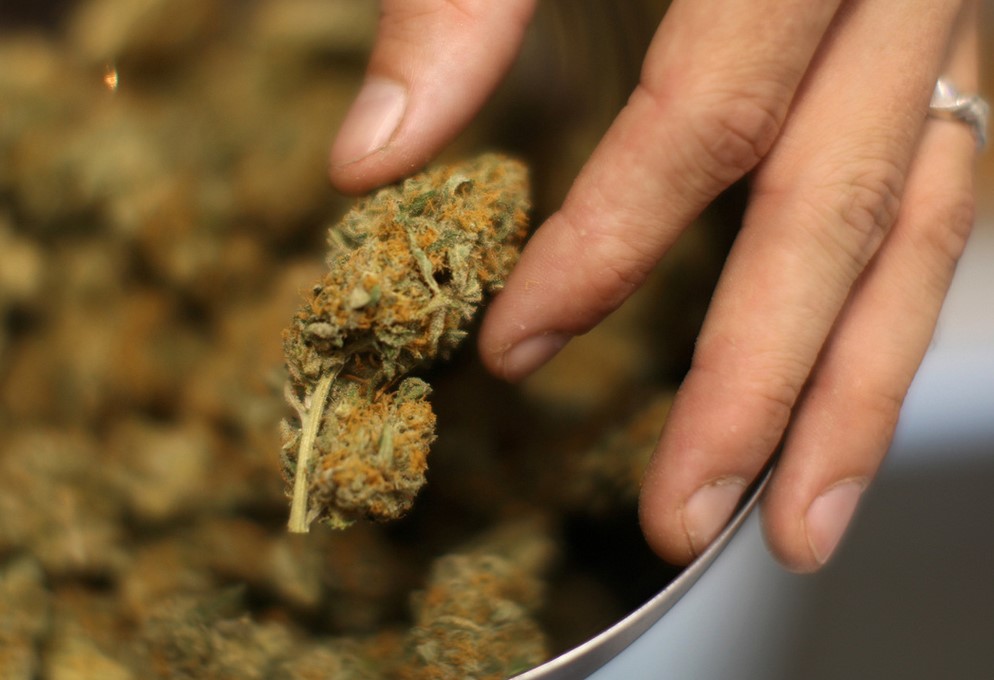 Terpenes for Anxiety: What You Need to Know Terpenes for Anxiety 03 - Terpenes for Anxiety: What You Need to Know