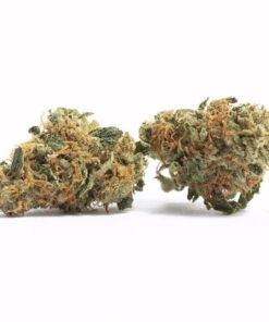 Trixx – Sativa Trixx – Sativa
