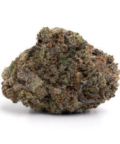 Tropicana Cookies – Sativa Tropicana Cookies – Sativa