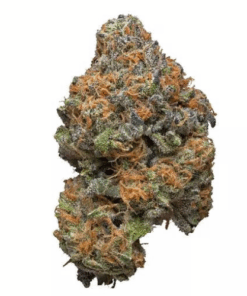 Crazy Monkey – Sativa