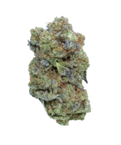 24k Gold – Hybrid Bulk 24k Gold – Hybrid Bulk