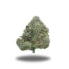 Sweet Candy-Sativa Sweet Candy-Sativa