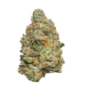 Durban Poison – Sativa Durban Poison – Sativa