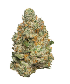 Apple Fritter – Sativa Apple Fritter – Sativa