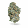 Sundae Driver – Sativa Sundae Driver – Sativa