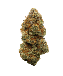 Driftwood Diesel – Indica