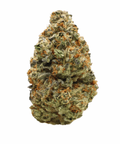 Rainbow Cookies – Sativa Rainbow Cookies – Sativa