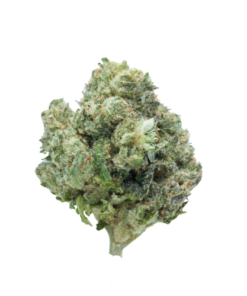Afghani – Indica
