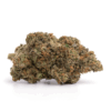 Nuken – Indica Nuken – Indica